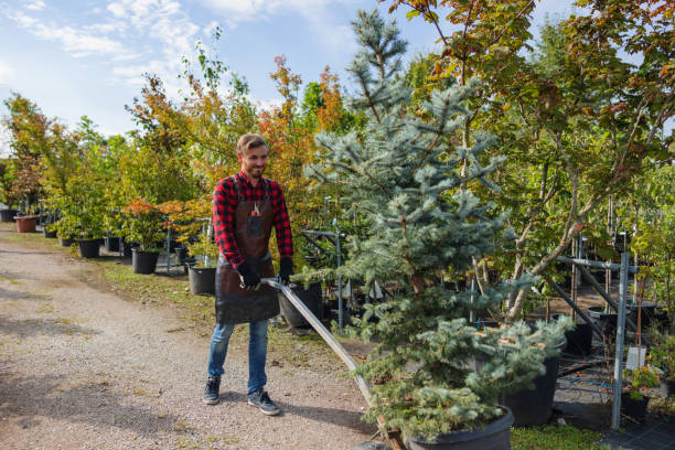 Best Leaf Removal  in Gunnison, CO